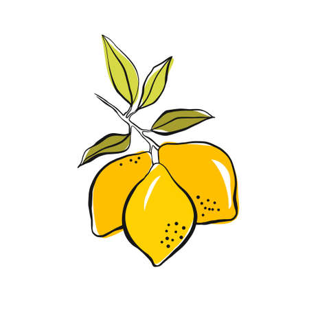 Yellow lemon on a branch with green leaves. Hand drawing with ink and stains. Simple doodle of a lemon isolated on a white background. Fruit summer element for designのイラスト素材