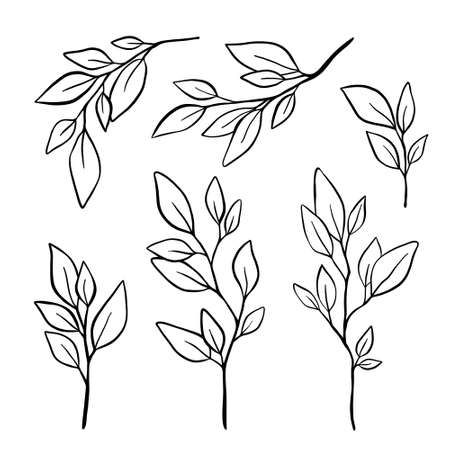 Vector hand drawn set of various silhouette branches with leaves in outline technique on the white background. Tree leaves, foliage, tropical elements isolated on whiteのイラスト素材