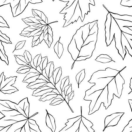 Vector hand drawn set of silhouette leaves in outline on white background. Set of line drawn leaves. Freehand sketch of autumn forest leaves for patterns, designs, of the autumn holidays.のイラスト素材