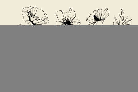 Set of flowers, leaves, leaf, buds hand drawn vector sketch. Hand drawn ink floral line drawing. Wild flowers minimalist design. Black and white art. Abstract floral illustrationのイラスト素材