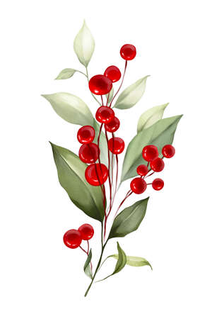 Floral, holly, winter berries in Christmas bouquet. Modern Art composition flower, leaves, berries isolated on white background. Floral frames and backgrounds design. Watercolor botanicalの写真素材