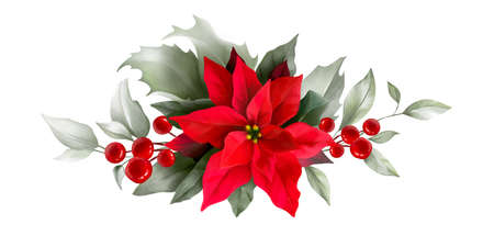 Poinsettia, holly, winter berries in Christmas bouquet. Modern Art composition flower, leaves, berries isolated on white background. Floral frames and backgrounds design. Watercolor botanicalの写真素材