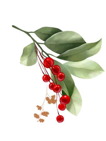 Floral, holly, winter berries in Christmas bouquet. Modern Art composition flower, leaves, berries isolated on white background. Floral frames and backgrounds design. Watercolor botanicalの写真素材