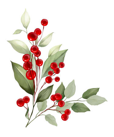 Floral, holly, winter berries in Christmas bouquet. Modern Art composition flower, leaves, berries isolated on white background. Floral frames and backgrounds design. Watercolor botanicalの写真素材