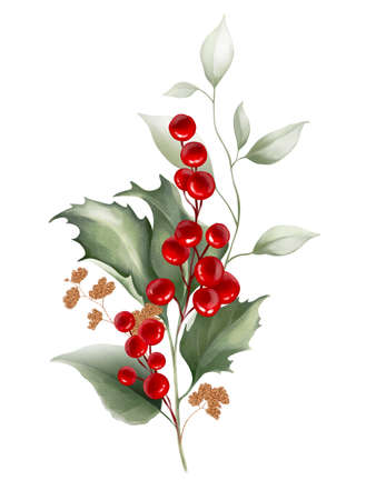Floral, holly, winter berries in Christmas bouquet. Modern Art composition flower, leaves, berries isolated on white background. Floral frames and backgrounds design. Watercolor botanicalの写真素材