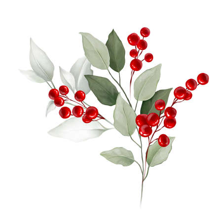 Floral, holly, winter berries in Christmas bouquet. Modern Art composition flower, leaves, berries isolated on white background. Floral frames and backgrounds design. Watercolor botanicalの写真素材