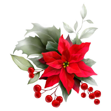 Poinsettia, holly, winter berries in Christmas bouquet. Modern Art composition flower, leaves, berries isolated on white background. Floral frames and backgrounds design. Watercolor botanicalの写真素材