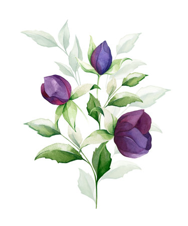 Watercolor Floral Bouquet. Arrangements with garden wild flowers. Botanical illustration set. Herbal elements of wild flowers, leaves.の写真素材