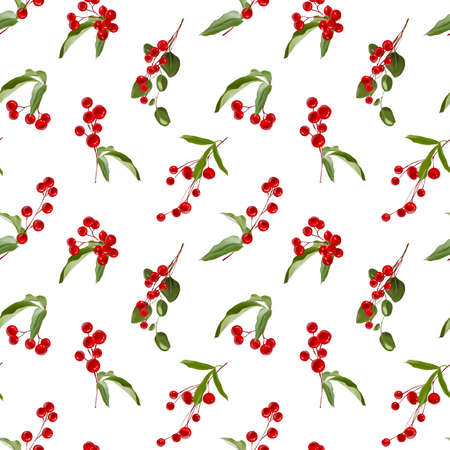 Seamless pattern with holly, winter red berries in Christmas bouquet. Modern universal artistic templates. Corporate Holiday package. Floral backgrounds design. Watercolor botanicalの写真素材