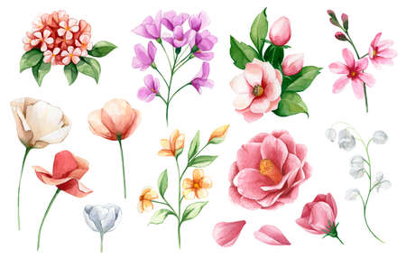 Set watercolor flowers. Hand drawn peony, poppies, anemone and wildflowers. Botanic illustration isolated on white background for wedding, greetings, wallpapers, fashion, backgrounds, wrappers, printの写真素材