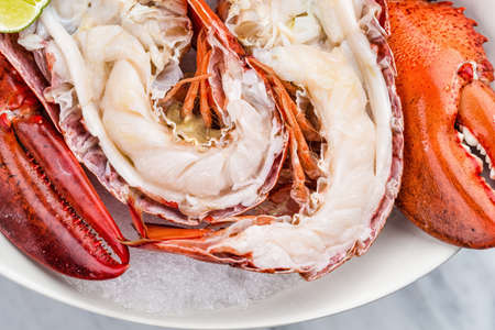 Fresh lobster with sauce and limeの写真素材