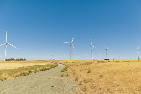 A Wind Farm with blue sky in California.