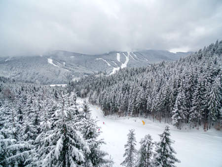 Aerial view of forest in the winter during the snowfall in the area of Bucovel in Ukrain. Captured from above with a drone.の写真素材