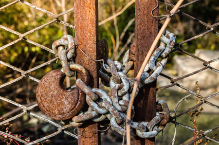 old padlock on metal gateの写真素材