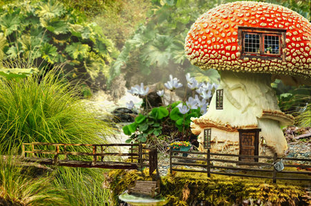series, fairy house (mushroom), a fictional illustration of house and the situation in the form of a collage of photos