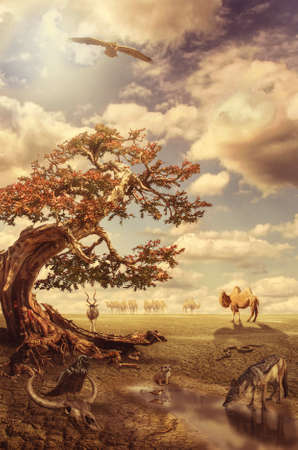 during drought animals do not attack each other at a watering place (illustration of a fictional situation, in the form collage of photos)の写真素材