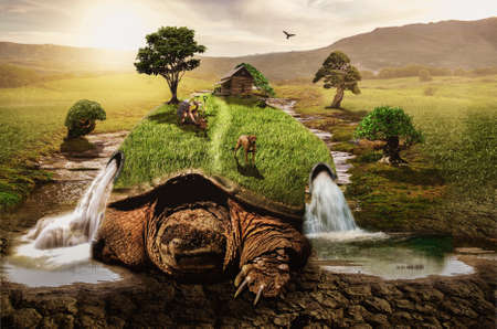 turtle slowly moves along the ground transforming the world around themの写真素材