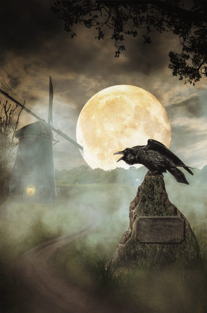 Raven the road against the background of the full moon