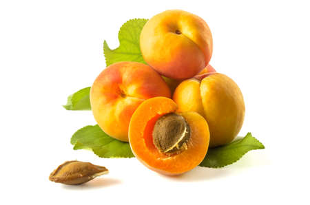 apricot fruits on a white background (blank for your photo manipulations / collages)の写真素材