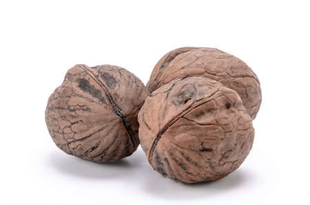 walnut on white backgroundの写真素材