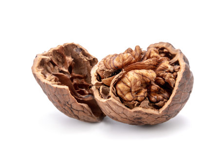 walnut and a cracked walnut isolated on the white background