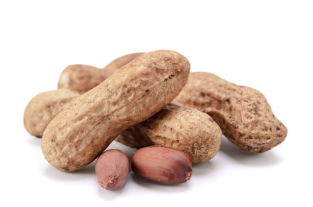 peanuts on a white background