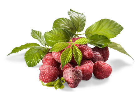 ripe raspberries with leaves on a white background with soft shadow