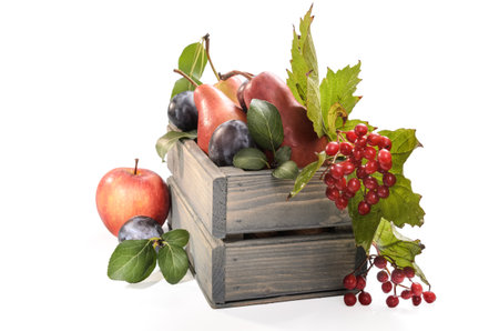 fruits and berries in a wooden box on a white background with soft shadowの写真素材
