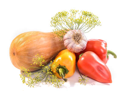 pumpkin, bell peppers, garlic and a sprig of dill on a white background with soft shadowの写真素材
