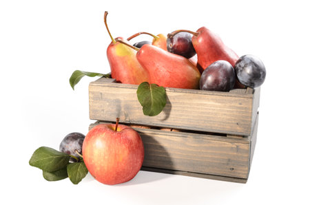 apple, pears and plums in a wooden box on a white background with soft shadowの写真素材