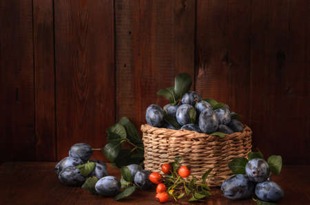 plum in a basket and a sprig of wild rose on a dark wooden background in a rustic styleの写真素材