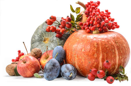 pumpkin and other fruits on white background with soft shadowの写真素材