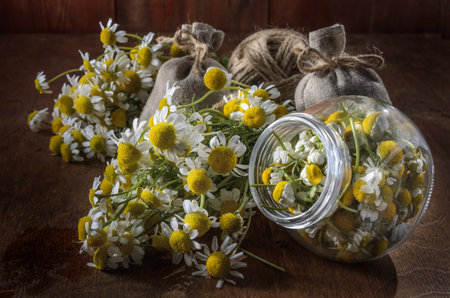 Medicinal herbs in burlap bags on an old wooden background, herbal medicine.の写真素材