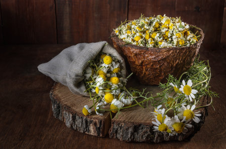 bowl of plucked daisy flowers,  and bunch of daisy flowersの写真素材