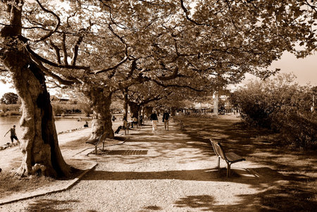 Radolfzell embankment in sepia
