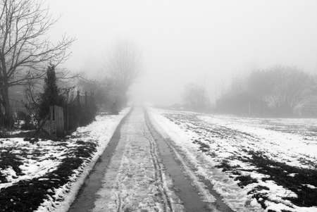 Foggy rural road in the winterの写真素材