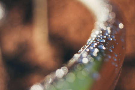 Raindrops on a metal hand railの写真素材