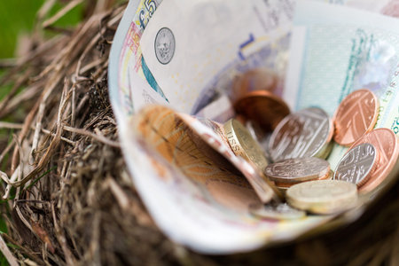 Nest filled with Btitish money. This nest was an abandoned nest found in a hedge that was being removed.の写真素材