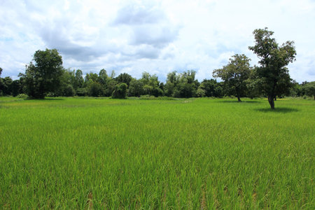 Surroundの写真素材