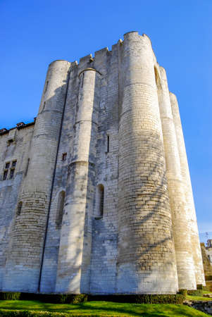 Twelfth century twin dungeons in Niort in Deux-S?vres in France.のeditorial素材