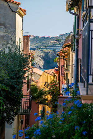 Colorful alleyway in the pretty village of Collioure e, Franceのeditorial素材