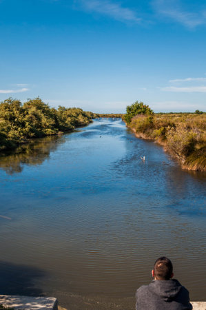Audenge, commune of the Arcachon basin in, New-Aquitaine, France, is renowned for its oyster...