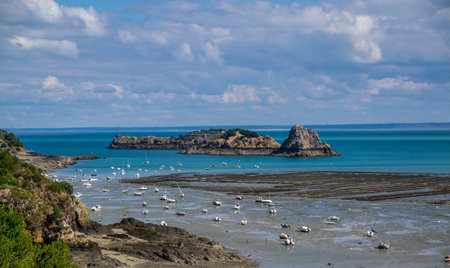 Oyster beds in the bay of Cancale at low tide, Brittany -France.