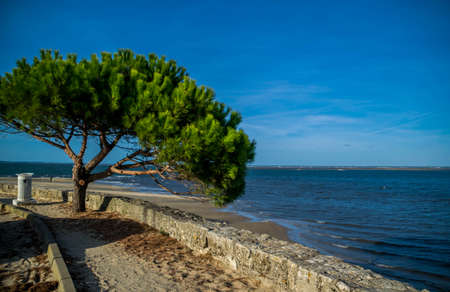 Arcachon on the Atlantic coast in Gironde, Nouvelle-Aquitaine, France.のeditorial素材