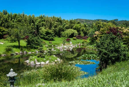 Beauty and tranquility of a Japanese Garden.の写真素材