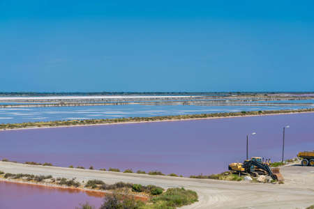The salt marshes of Aigues-Mortes, in the Camargue, in the Gard department in France.の写真素材