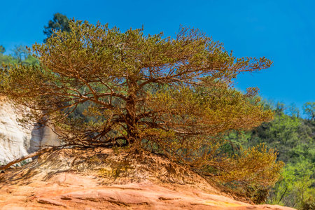 The ocher trail, Luberon, Vaucluse, France.