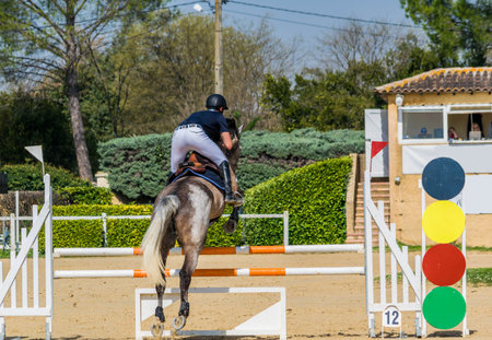 Horse riding, show jumping, competition.