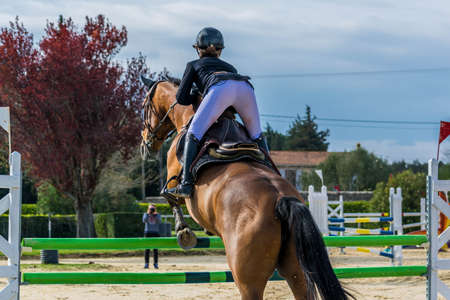 Horse riding, show jumping, competition.の写真素材