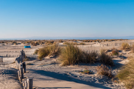 Espiguette beach, in Le Grau-du-Roi in the south of France.の写真素材